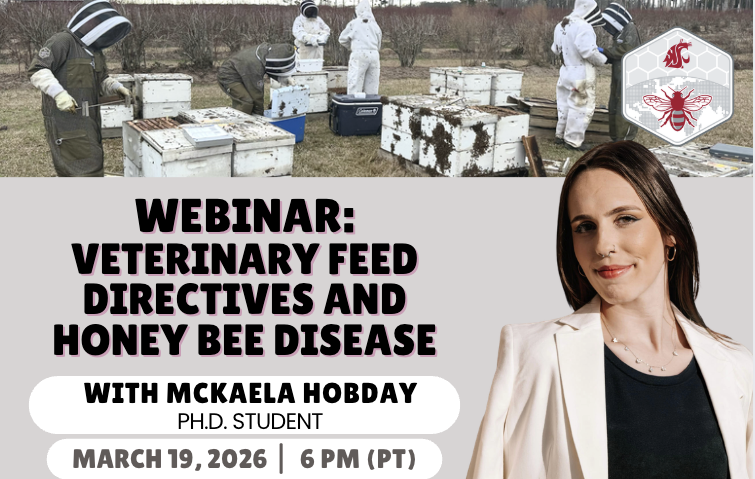 advertisement for webinar, decorative purpose only